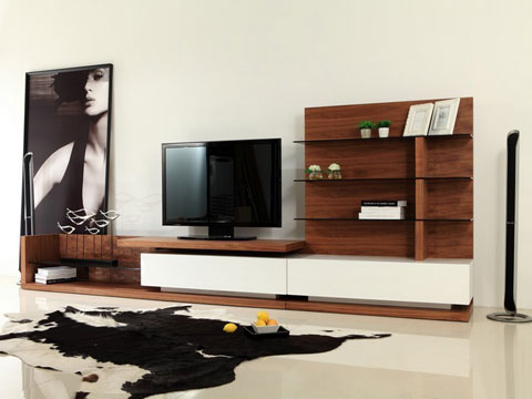 ziwoodz-tv-unit-set-design